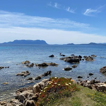 Luxury Ginestra Sea View With Common Swimming Pool Just 50 Mt From The *