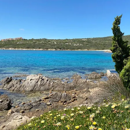 Luxury Ginestra Sea View With Common Swimming Pool Just 50 Mt From The