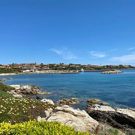 Daire Luxury Ginestra Sea View With Common Swimming Pool Just 50 Mt From The *