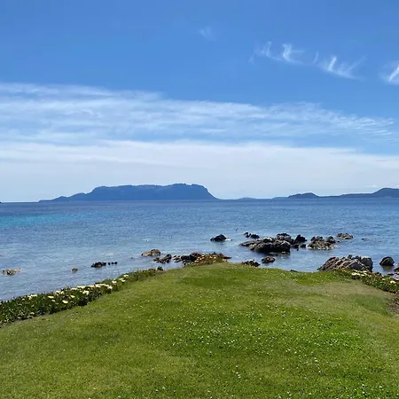 Luxury Ginestra Sea View With Common Swimming Pool Just 50 Mt From The Appartamento