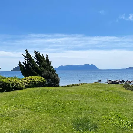 Luxury Ginestra Sea View With Common Swimming Pool Just 50 Mt From The * Golfo Aranci