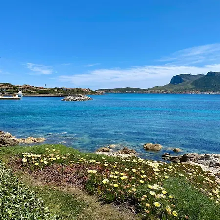 Appartamento Luxury Ginestra Sea View With Common Swimming Pool Just 50 Mt From The